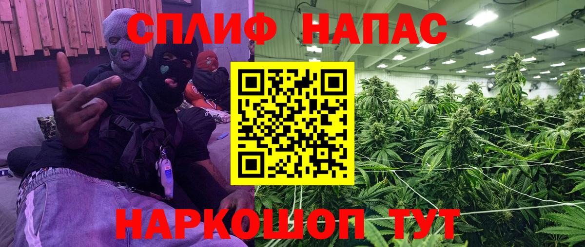 Каннабис семена Курск